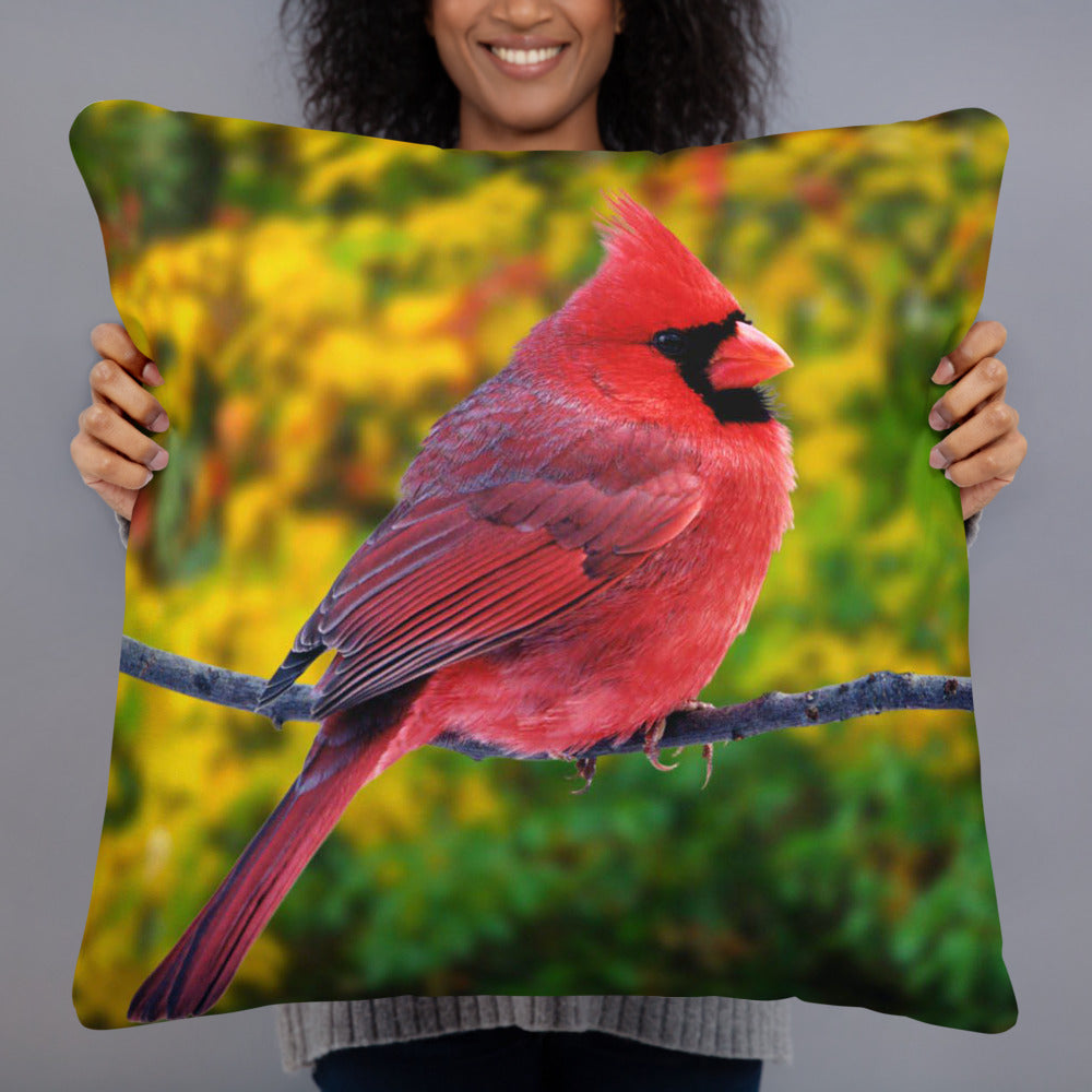 RED BIRD PILLOWS
