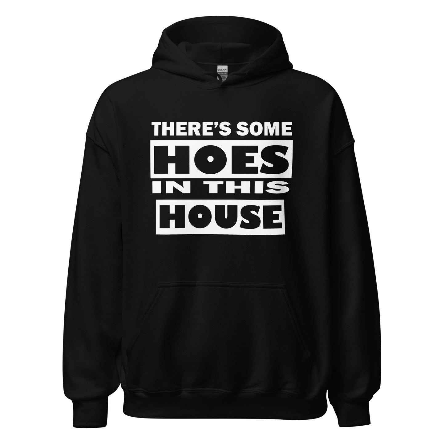 THERES SOME HOES IN THIS HOUSE HOODIE