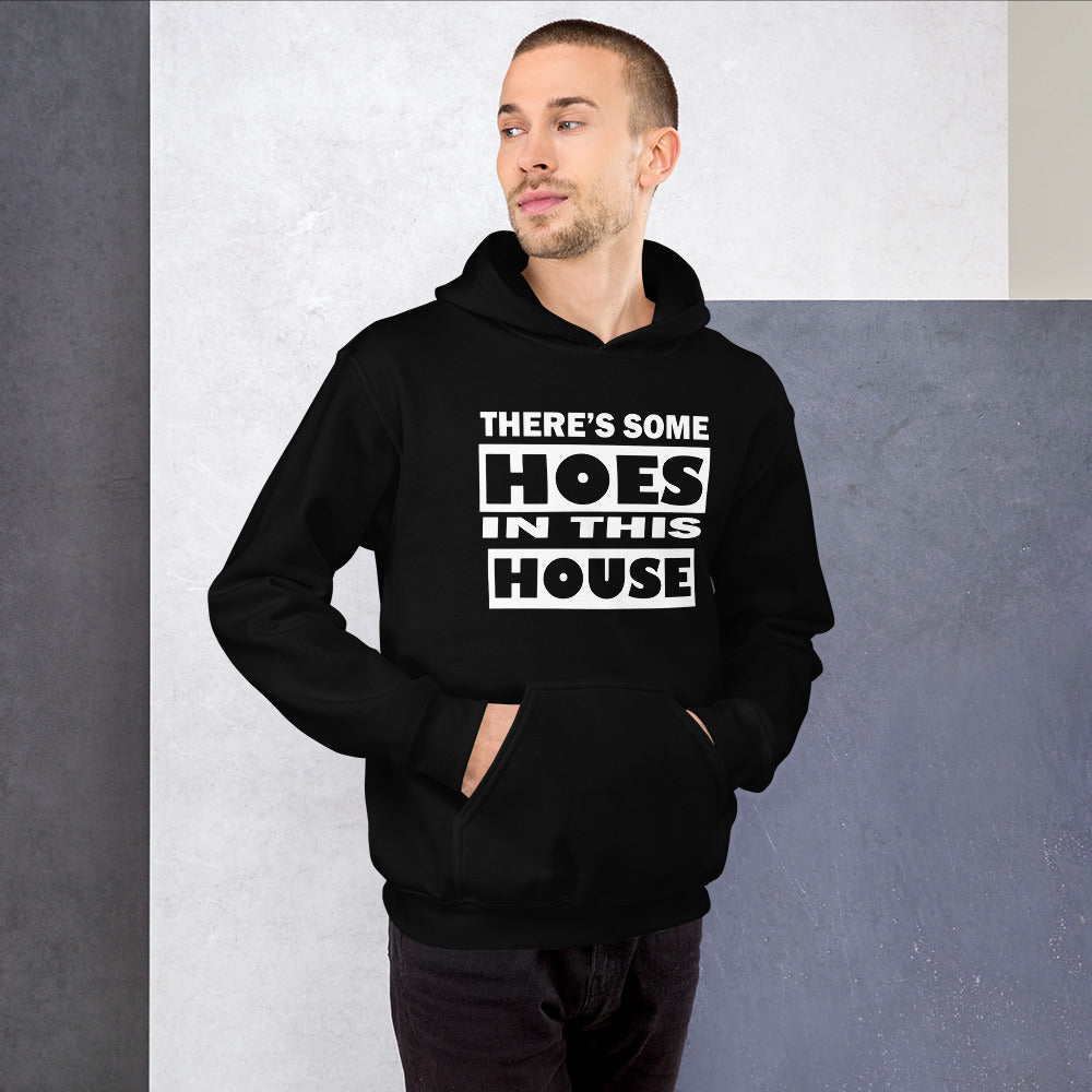THERES SOME HOES IN THIS HOUSE HOODIE