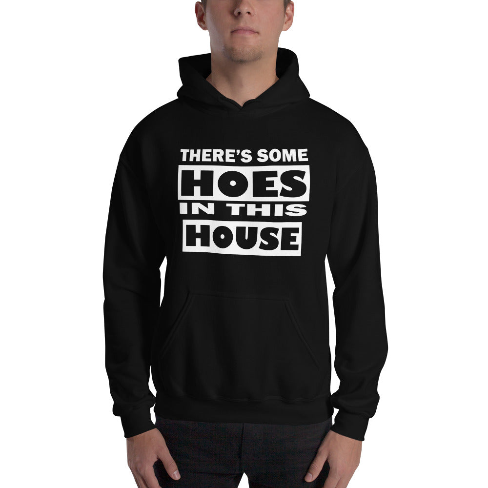 THERES SOME HOES IN THIS HOUSE HOODIE