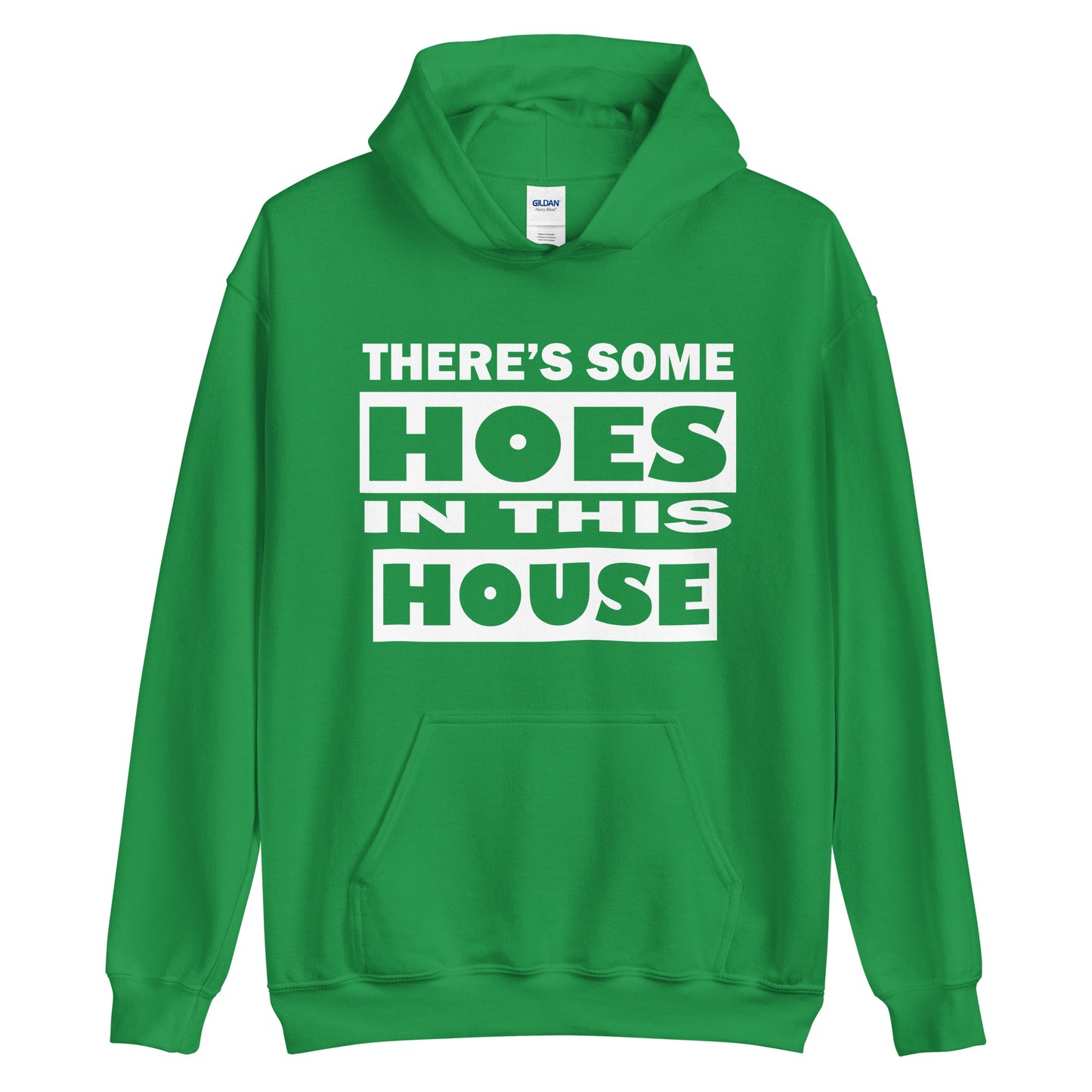THERES SOME HOES IN THIS HOUSE HOODIE