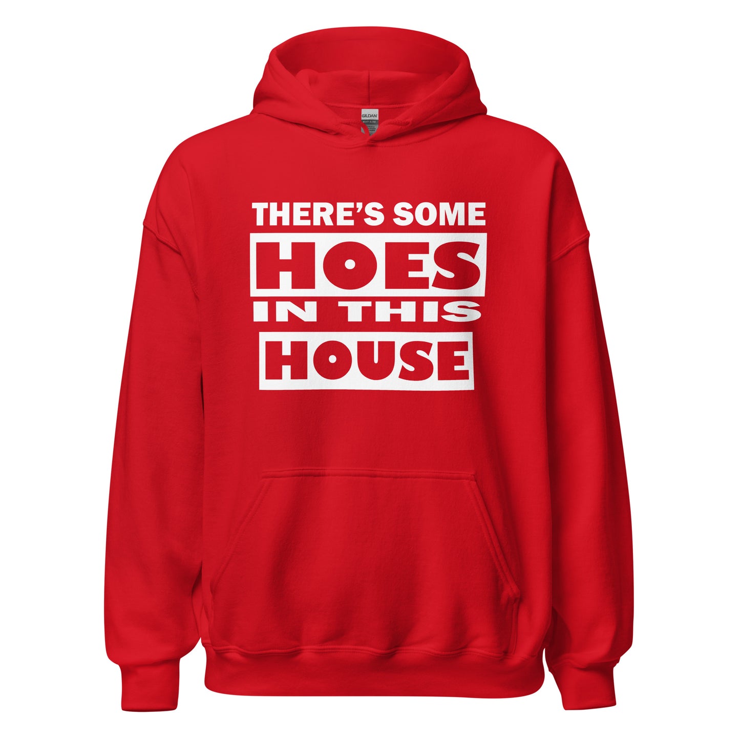 THERES SOME HOES IN THIS HOUSE HOODIE