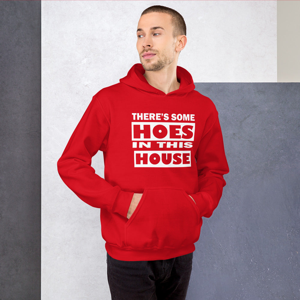THERES SOME HOES IN THIS HOUSE HOODIE