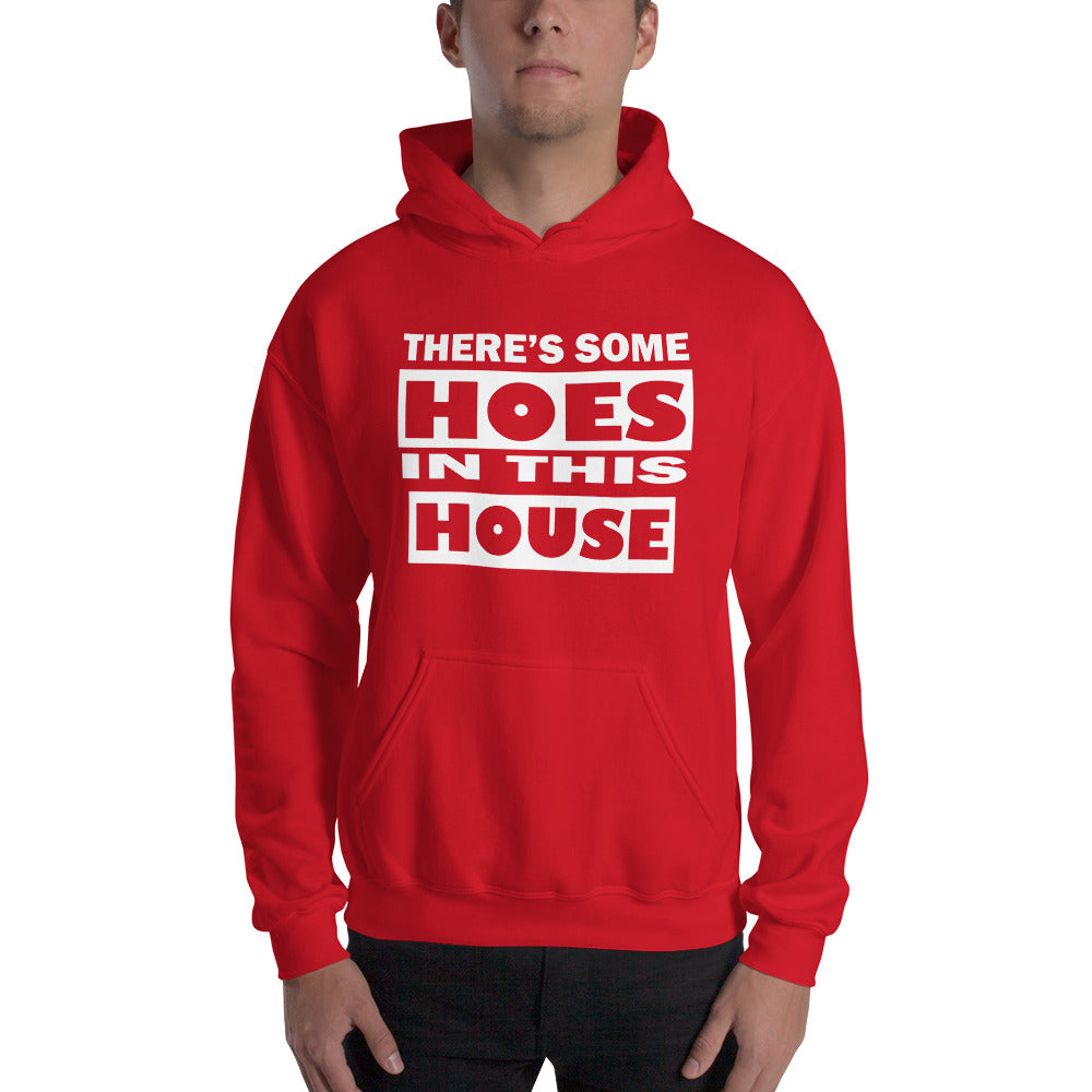 THERES SOME HOES IN THIS HOUSE HOODIE