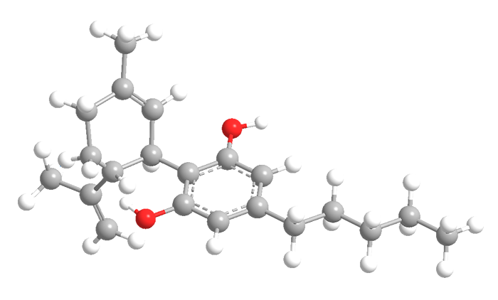 MOLECULAR COLLECTION