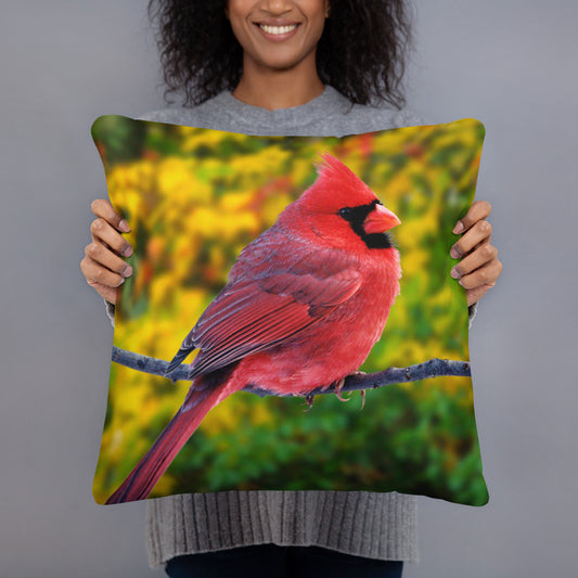RED BIRD PILLOWS