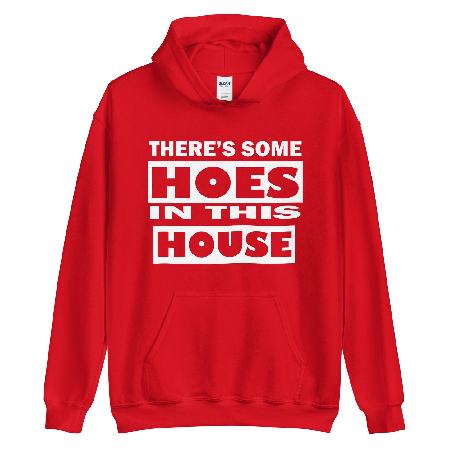 THERES SOME HOES IN THIS HOUSE HOODIE